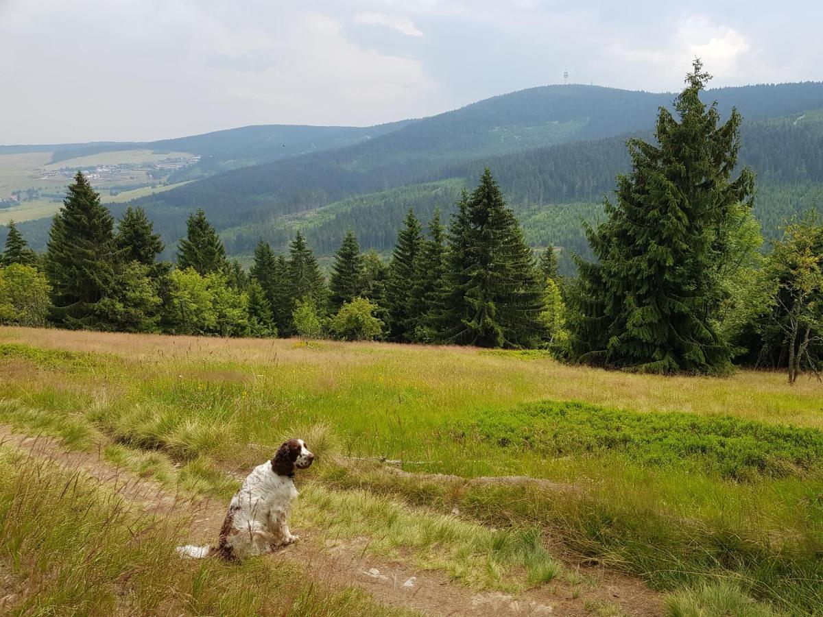 Grenzblick * Oberwiesenthal